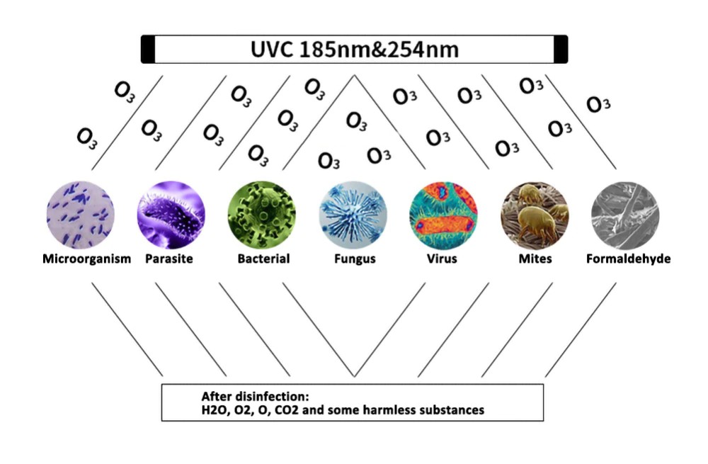 uv ڈس انفیکشن