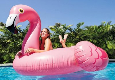 inflatable فلیمنگو